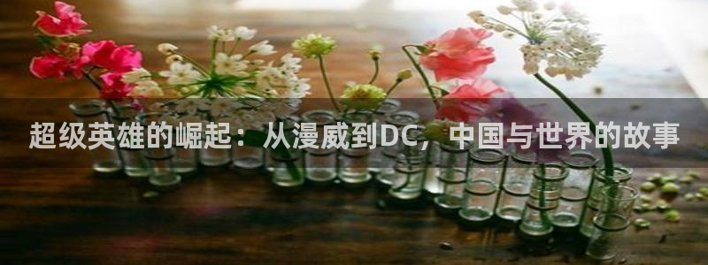 香蕉漫画h：超级英雄的崛起：从漫威到DC，中国与世界的故事